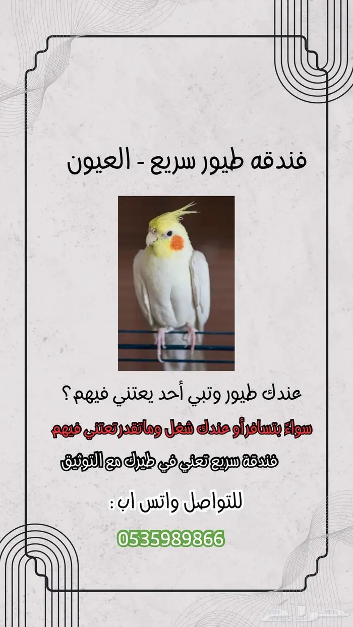 فندقة طيور - العيون 0