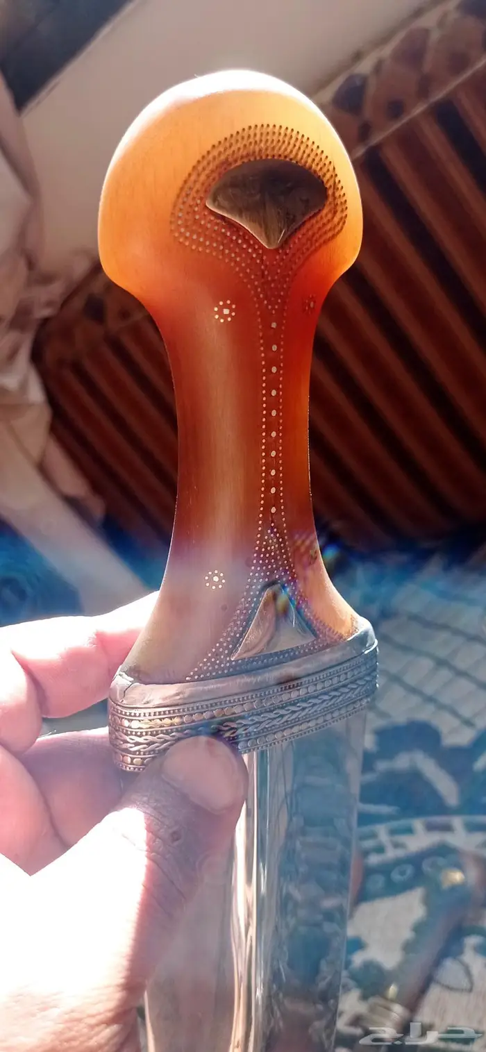 جنبيه زراف 1