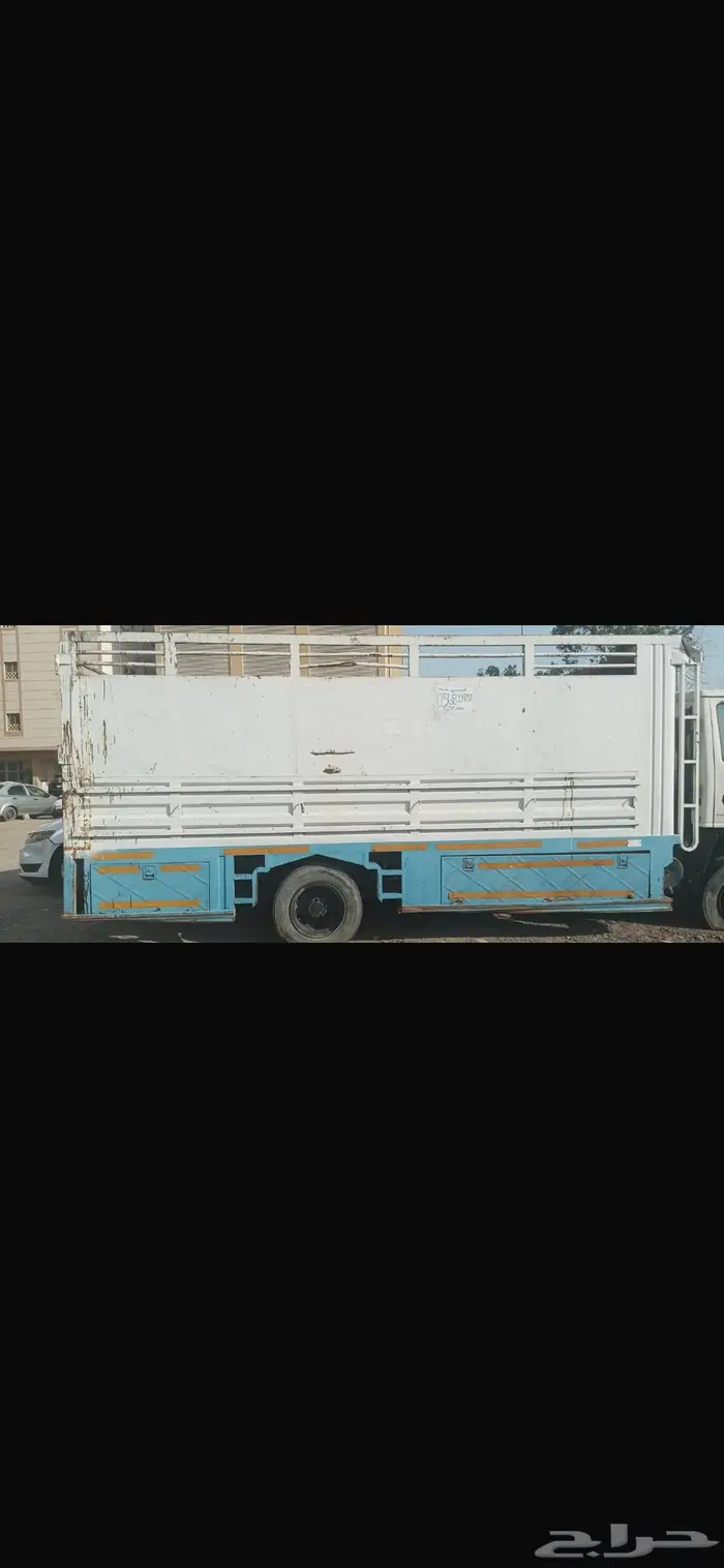 دينا جاك 2015 1