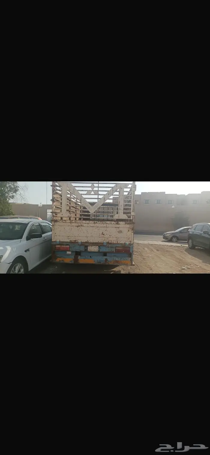 دينا جاك 2015 0