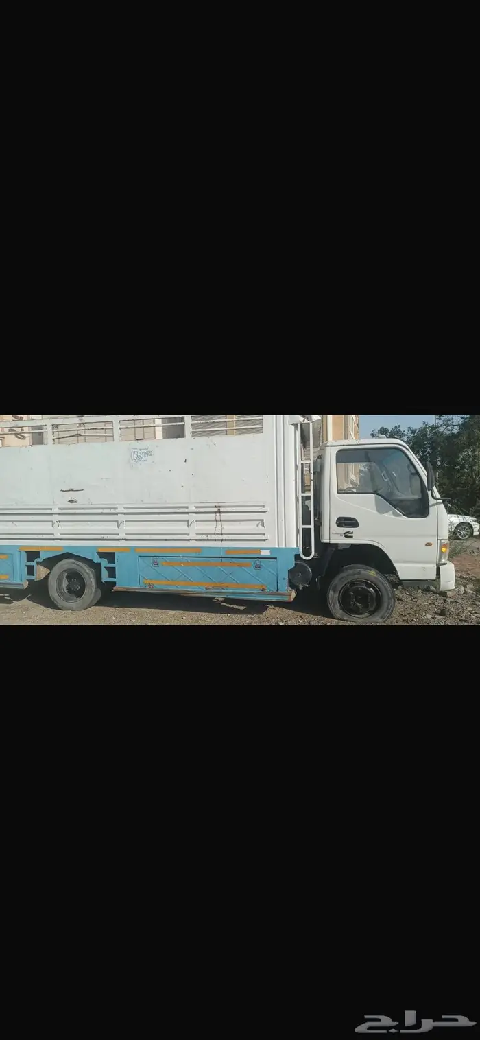 دينا جاك 2015 3