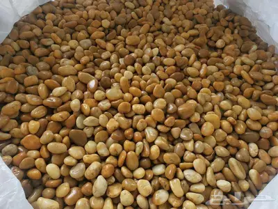 جميع انواع الحجر الزينة الديكورى لامع ومطفى 2