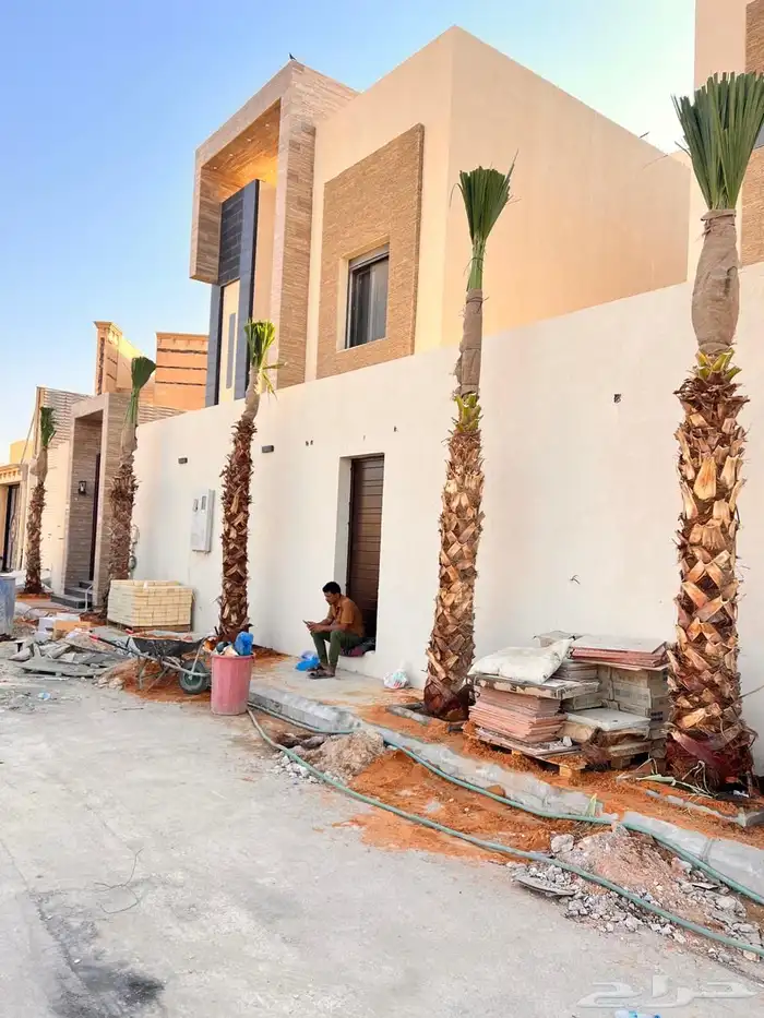 نخل واشنطن نخل للبيع نخل زينة نخل الرياض 5