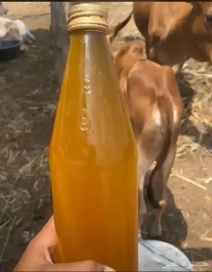 سمن بقر خالص 19