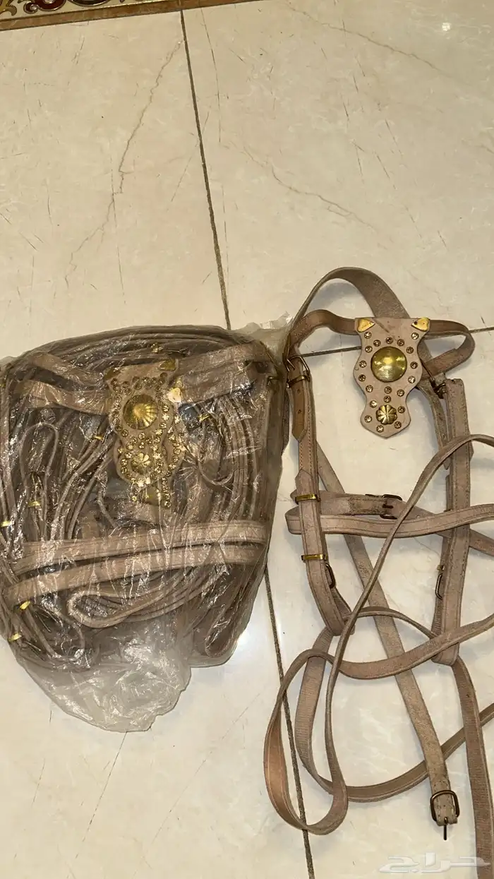 الاجمة خيل 0