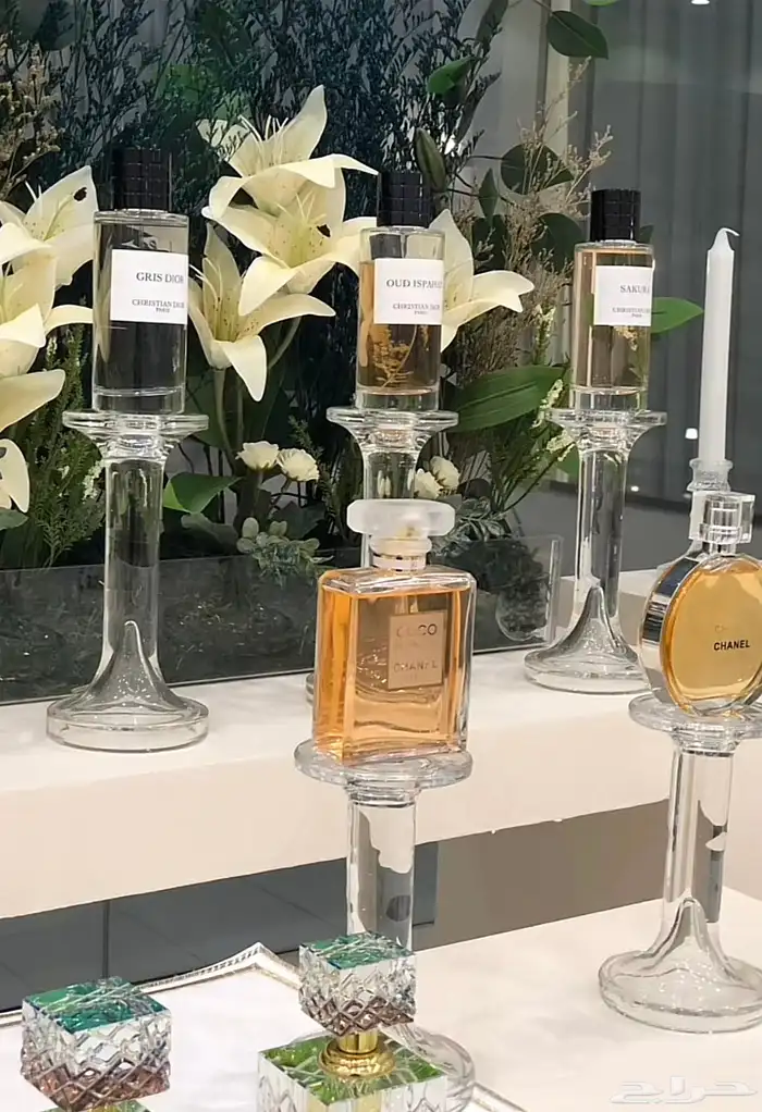 مدخل عطور ومشرفة 850ريال فقط 8