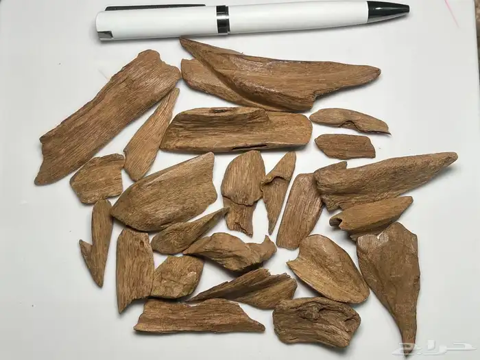عود مروكي طبيعي 0