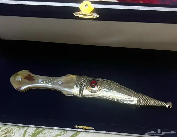 شبريه دقه المحيسن تفصيل خاص قرن طبيعي ابو شعيرات مثل الزراف 1