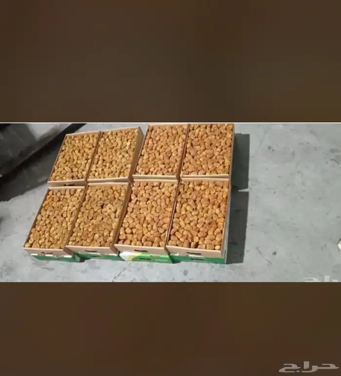 يوجد تمور سكري مفتل من القصيم و خلاص القصيم نوعيه ممتازه 0