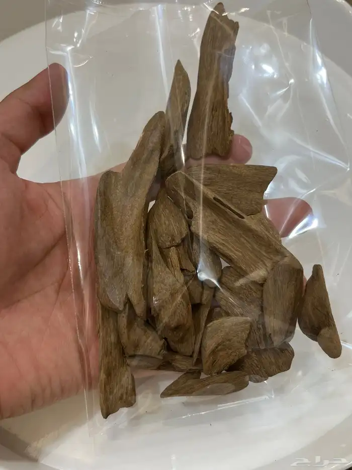 عود مروكي طبيعي 1