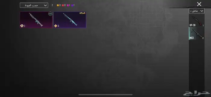 حسابب ببجي أتمنى ان لايجي الا الصامل وعدم المكالمه 50