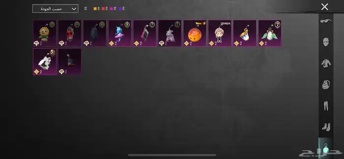 حسابب ببجي أتمنى ان لايجي الا الصامل وعدم المكالمه 14