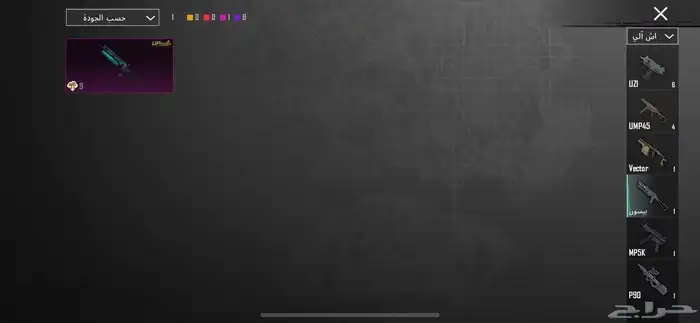 حسابب ببجي أتمنى ان لايجي الا الصامل وعدم المكالمه 40