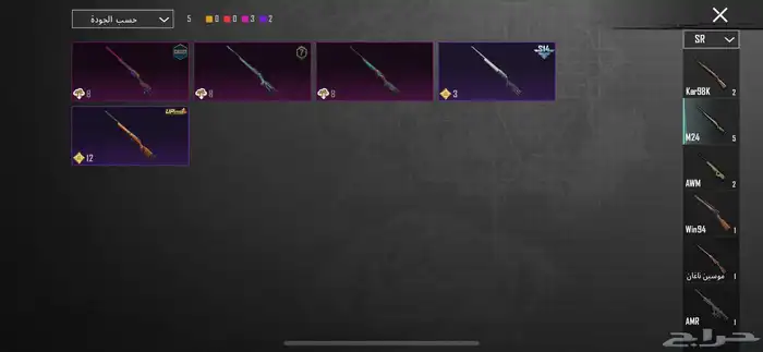 حسابب ببجي أتمنى ان لايجي الا الصامل وعدم المكالمه 30