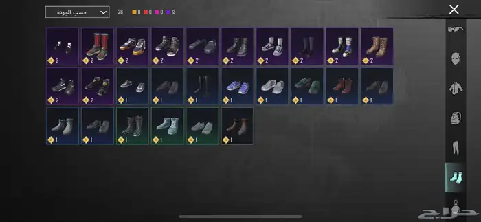 حسابب ببجي أتمنى ان لايجي الا الصامل وعدم المكالمه 15