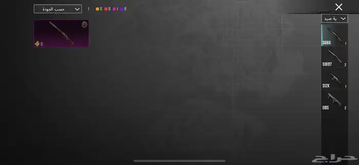 حسابب ببجي أتمنى ان لايجي الا الصامل وعدم المكالمه 43