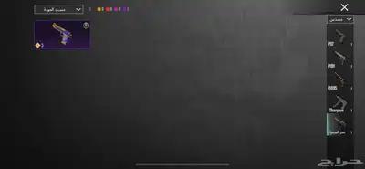 حساب ببجي للبيع 48