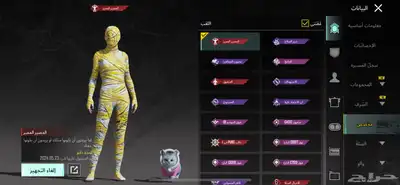 حساب ببجي للبيع 68