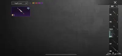 حساب ببجي للبيع 29