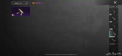 حساب ببجي للبيع 49