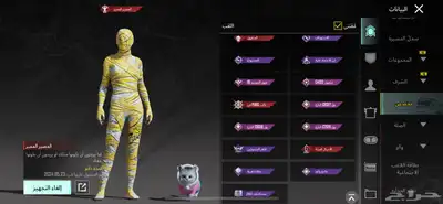 حساب ببجي للبيع 69