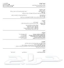 عرض خاص تصميم سيرة ذاتية احترافية (عربي إنجليزي) ب 25 4