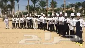 شيف عام خبره طويله في المطابخ وحملات الاعاشه 2