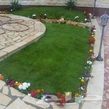 تنسيق حدائق ثيل طبيعي ياباني انتورو فرنسي عشب صناعي مظلات 2