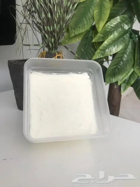 (حليب لبن جبن قشطة لبى زبدة سمن) غنم بيض بلدي 6