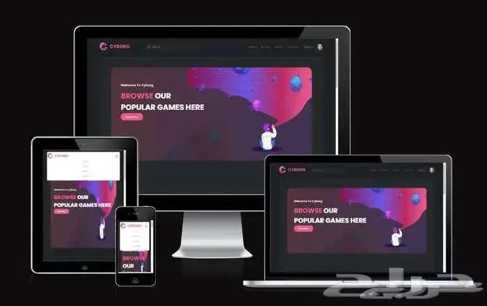 تصميم وبرمجة مواقع الإنترنت وصفحات هبوط 3