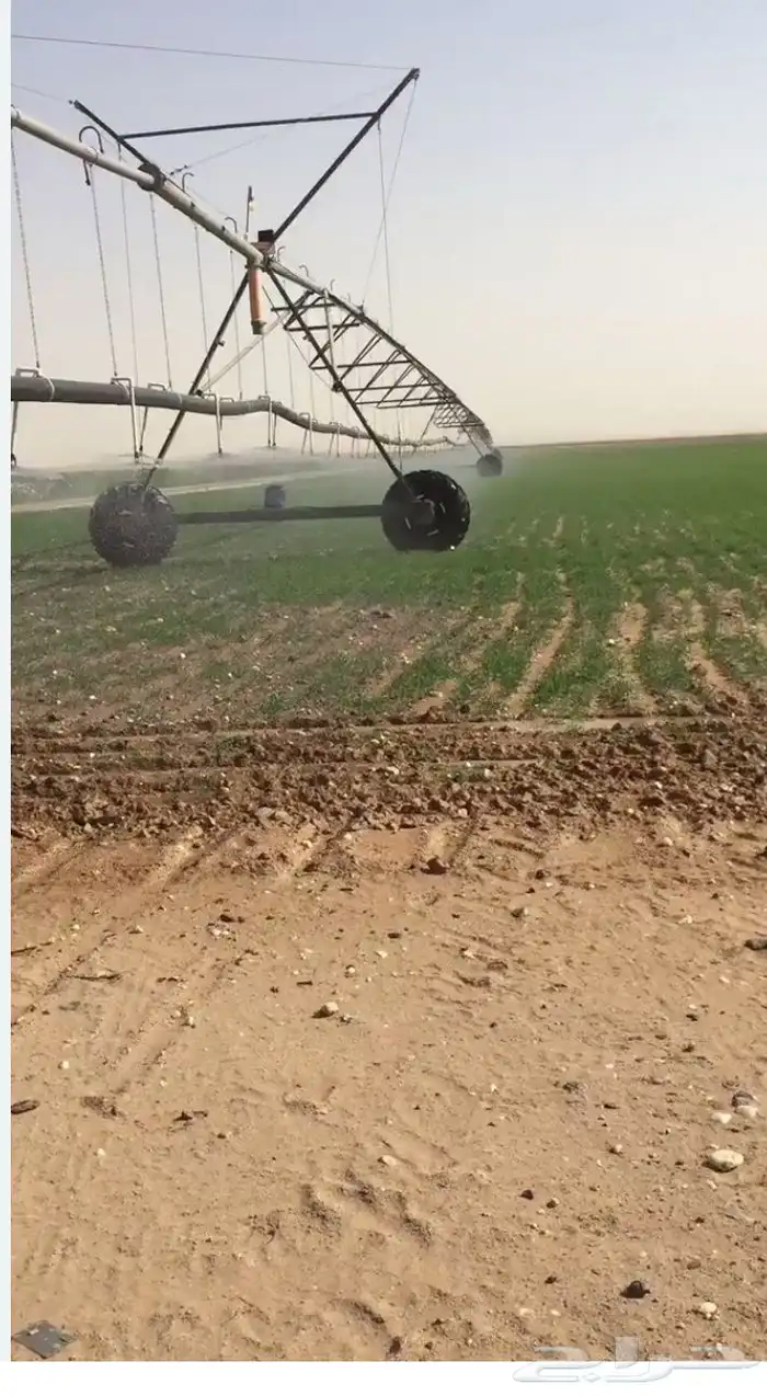 مزرعة للإيجار ساجر و ماحولها 0