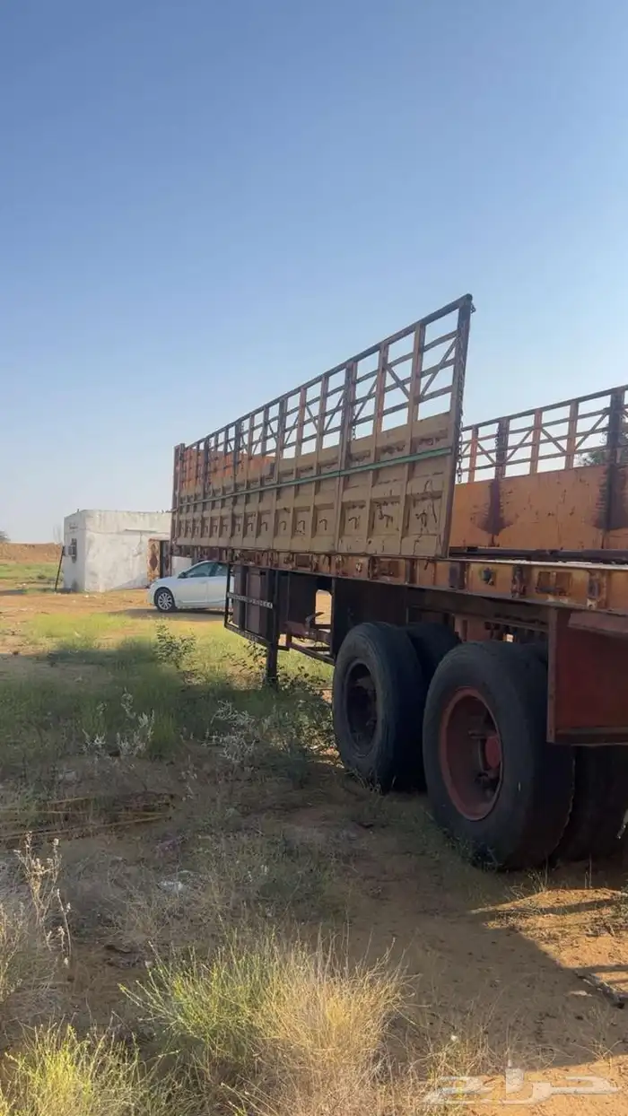 تيدر المطلق 3