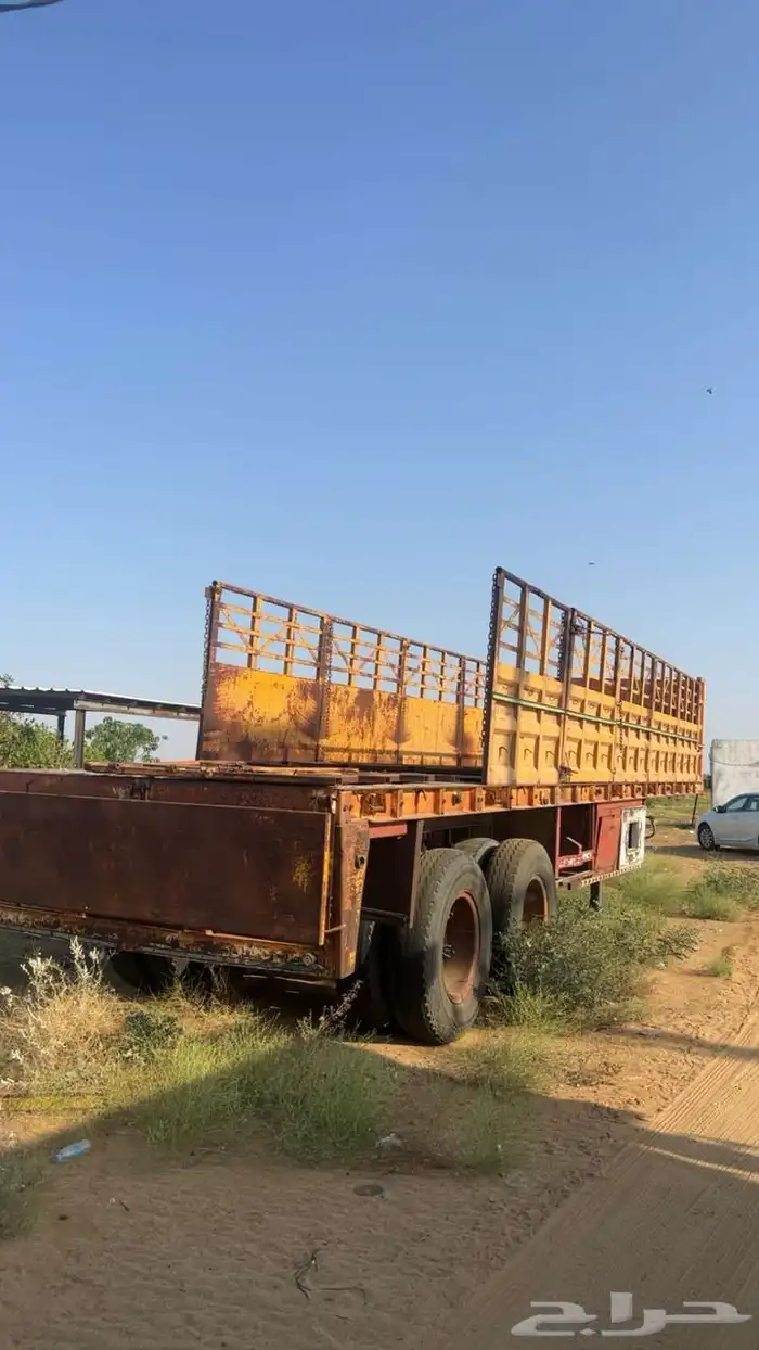 تيدر المطلق 1
