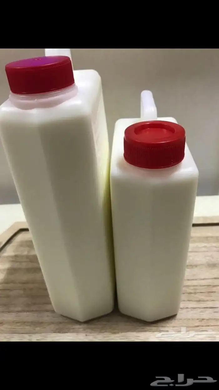 (حليب لبن جبن قشطة لبى زبدة سمن) غنم بيض بلدي 12