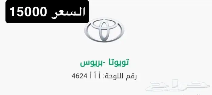 لوحات مميزة للبيع بسعر طيب 1