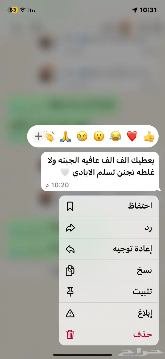 حبن معز 3