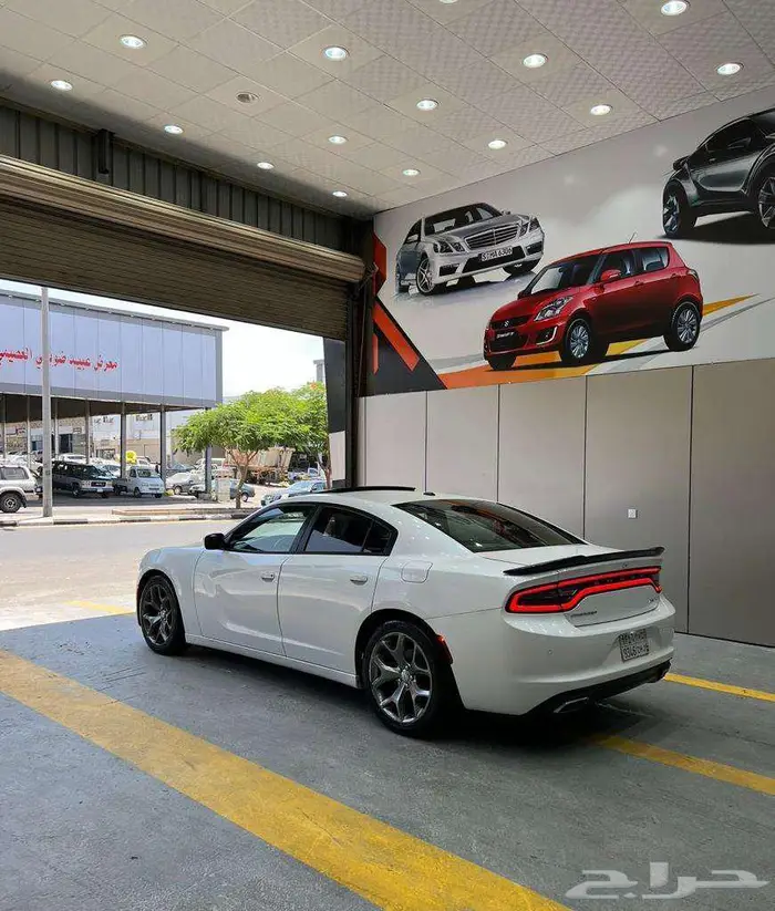 مركز ماي كير لجميع انواع العوازل و PPF جميع الالوان10سنوات 37