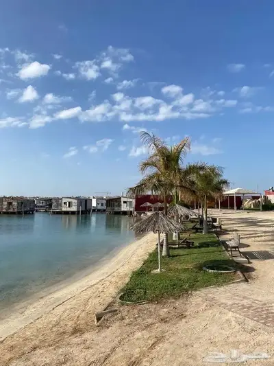 عندي شاليهات في أرض السعادة 1 للبيع 0