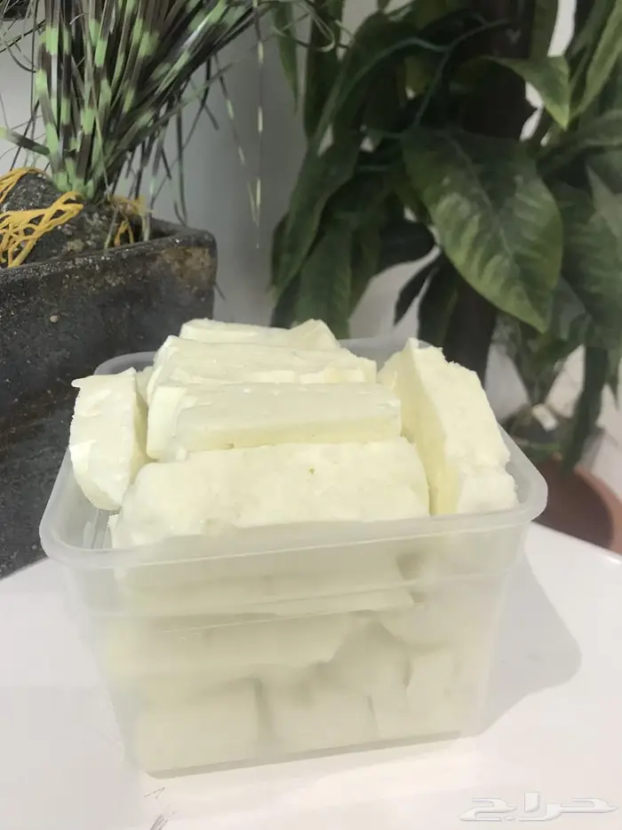 (حليب لبن جبن قشطة لبى زبدة سمن) غنم بيض بلدي 0