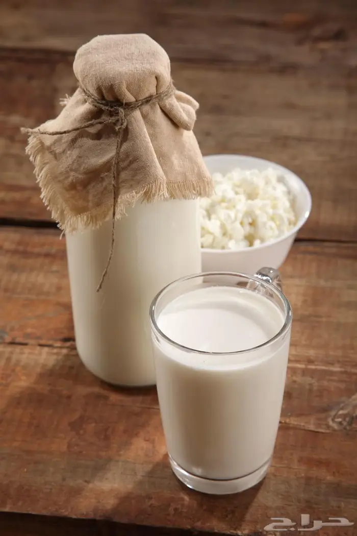 الفطر الهندي ( الكفير ) 0