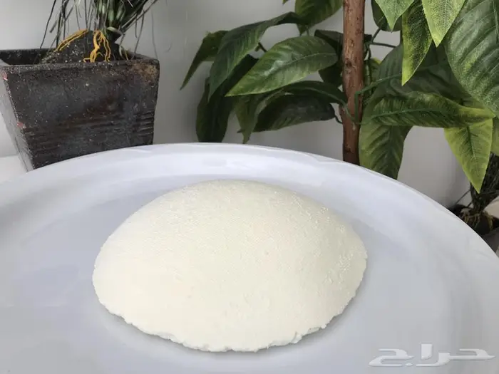 (حليب لبن جبن قشطة لبى زبدة سمن) غنم بيض بلدي 9