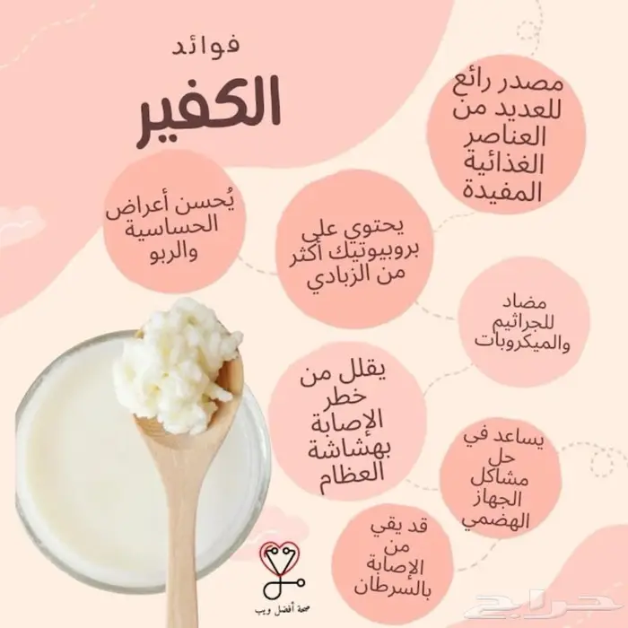 الفطر الهندي ( الكفير ) 1