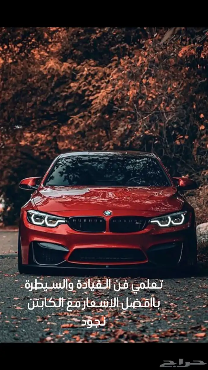 تعليم قياده 0