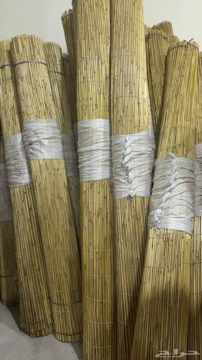 خيزران مظلات وحواجز وقش 1