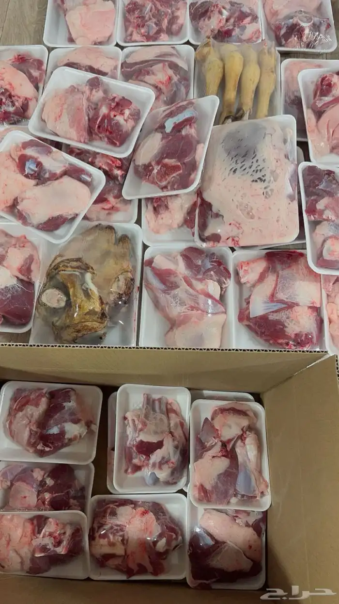 ذبايح حايل 2