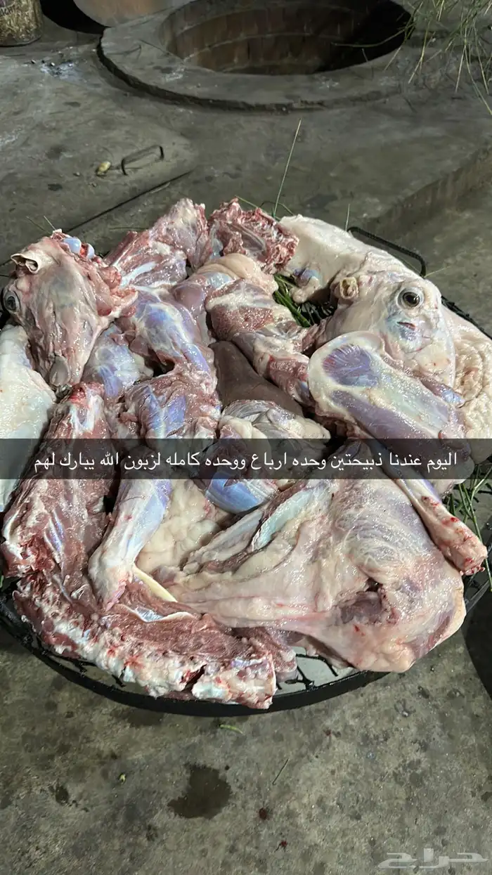 ذبايح حري وسواكني وتيوس حنيذ ومندي وعربي وكابلي وذبح وتوصيل 21