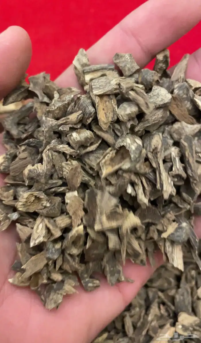 بخور طبيعي ومشروط 1