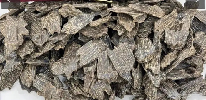 عود ازرق كلمنتان سوبر عروض اليوم الوطني 1