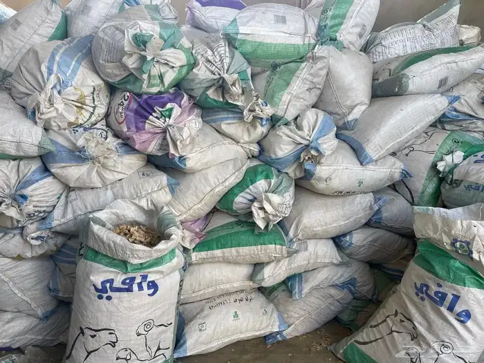 نشارة خشب للخيل 2