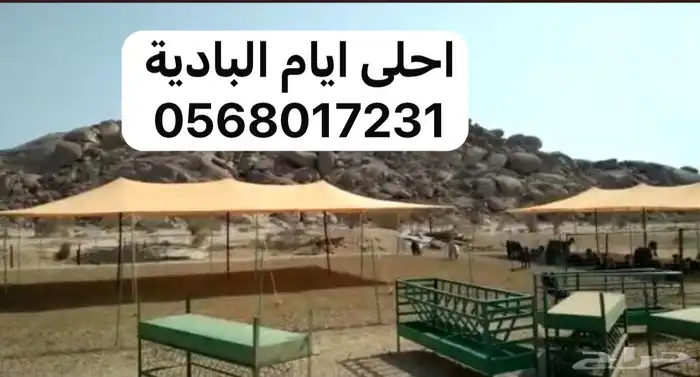 مظلة غنم 1